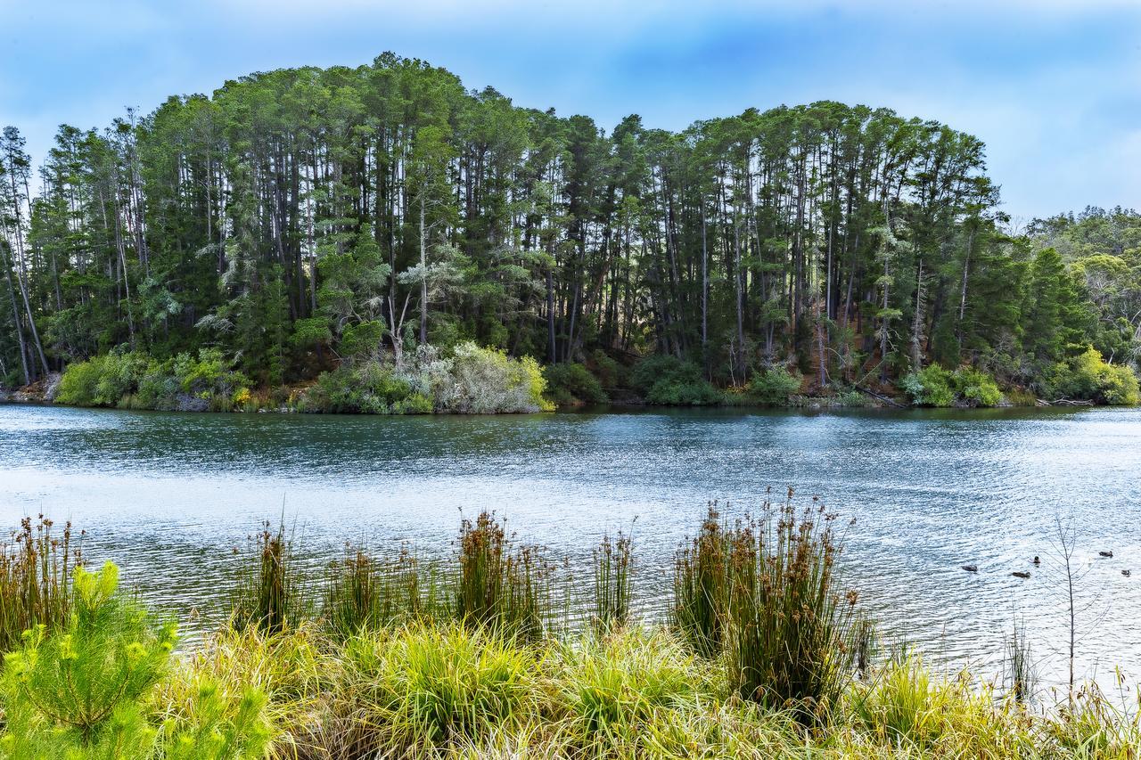 The Sebel Creswick Forest Resort Buitenkant foto